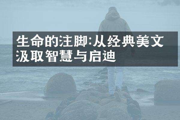 生命的注脚:从经典美文中汲取智慧与启迪