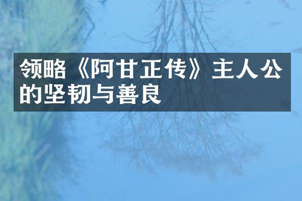 领略《阿甘正传》主人公的坚韧与善良