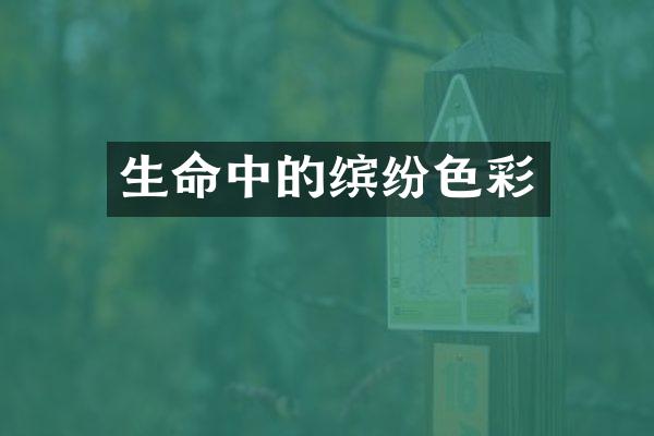 生命中的缤纷色彩