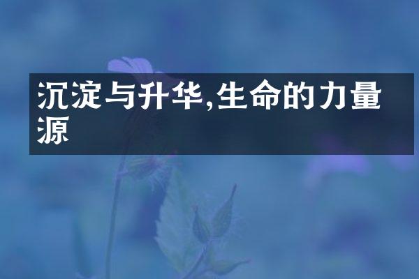 沉淀与升华,生命的力量之源
