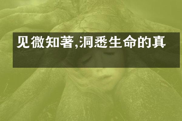 见微知著,洞悉生命的真理
