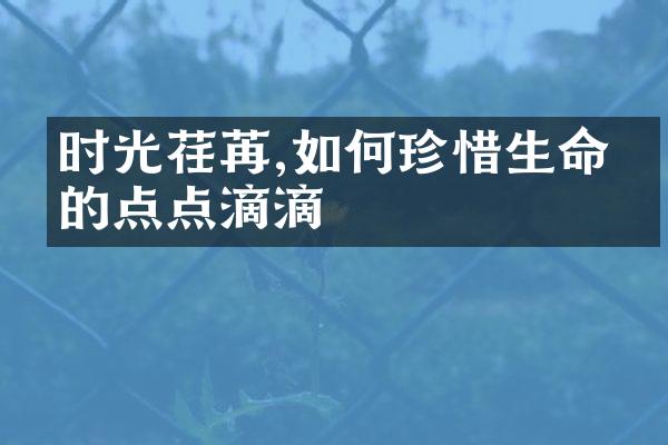 时光荏苒,如何珍惜生命中的点点滴滴