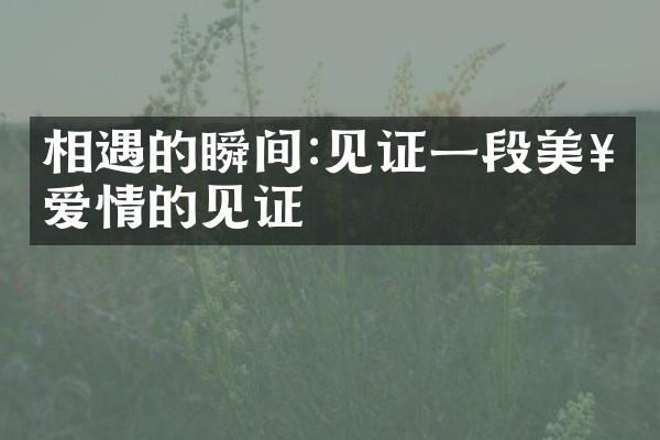相遇的瞬间:见证一段美好爱情的见证