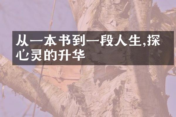从一本书到一段人生,探寻心灵的升华