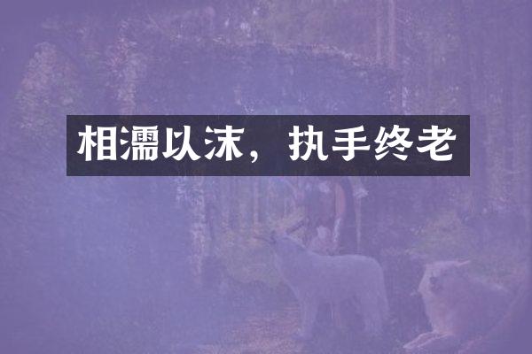相濡以沫，执手终老