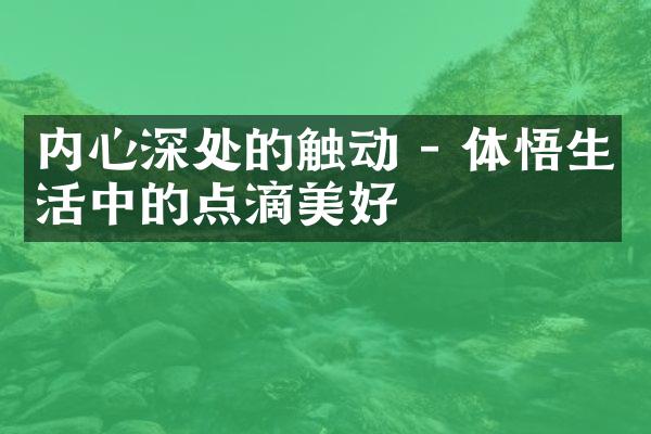内心深处的触动 - 体悟生活中的点滴美好