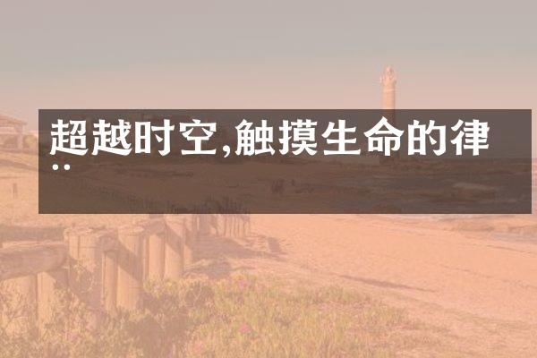 超越时空,触摸生命的律动