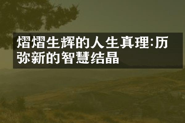 熠熠生辉的人生真理:历久弥新的智慧结晶