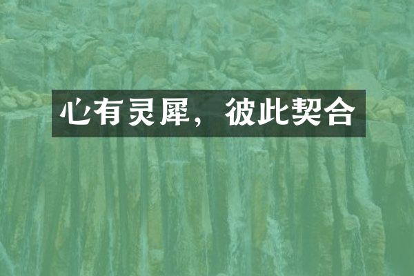 心有灵犀，彼此契合