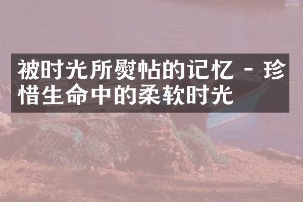 被时光所熨帖的记忆 - 珍惜生命中的柔软时光