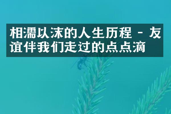 相濡以沫的人生 - 友谊伴我们走过的点点滴滴