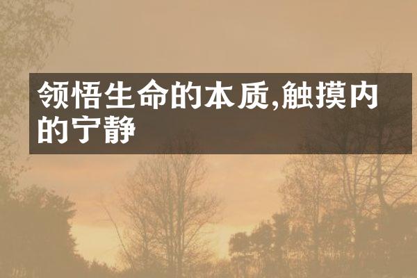 领悟生命的本质,触摸内心的宁静