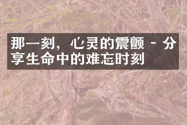 那一刻，心灵的震颤 - 分享生命中的难忘时刻