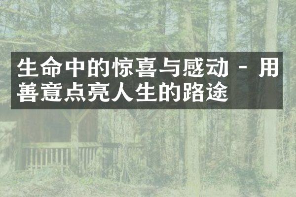 生命中的惊喜与感动 - 用善意点亮人生的路途