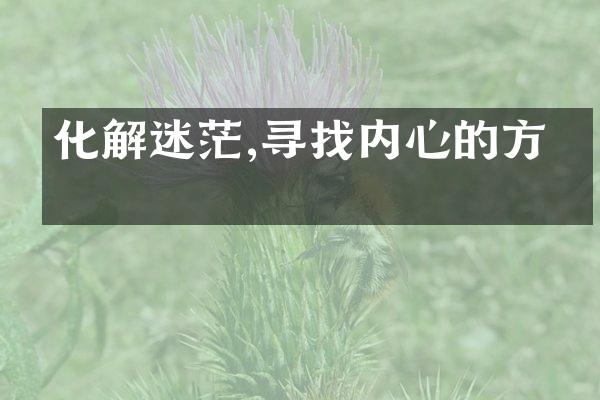 化解迷茫,寻找内心的方向