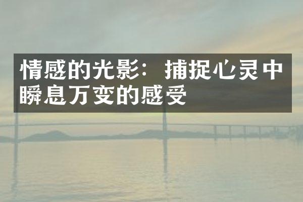 情感的光影：捕捉心灵中瞬息万变的感受