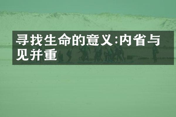 寻找生命的意义:内与洞见并重