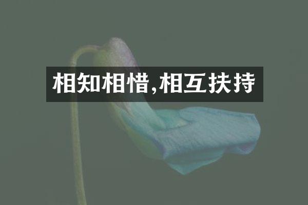 相知相惜,相互扶持