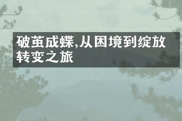 破茧成蝶,从困境到绽放的转变之旅