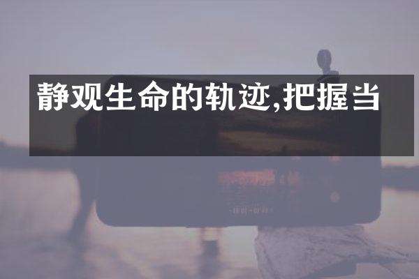 静观生命的轨迹,把握当下