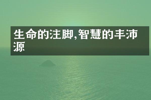 生命的注脚,智慧的丰沛泉源