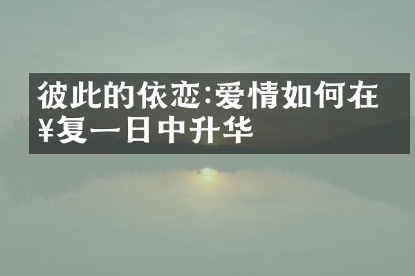 彼此的依恋:爱情如何在日复一日中升华