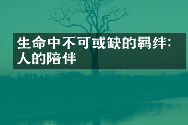 生命中不可或缺的羁绊:家人的陪伴