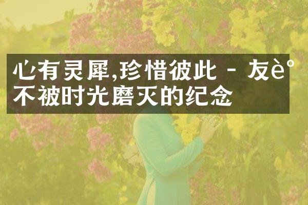 心有灵犀,珍惜彼此 - 友谊不被时光磨灭的