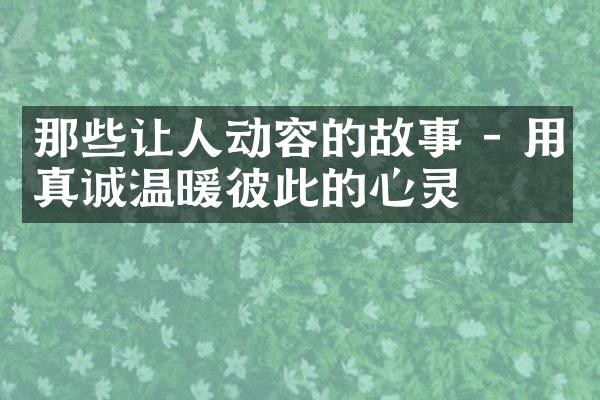 那些让人动容的故事 - 用真诚温暖彼此的心灵
