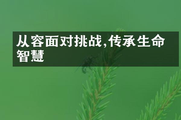 从容面对挑战,传承生命的智慧