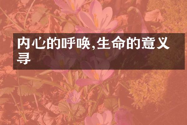 内心的呼唤,生命的意义探寻