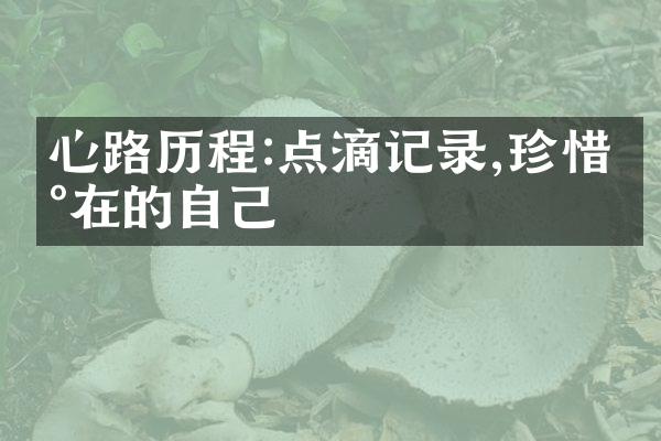 心路:点滴记录,珍惜现在的自己