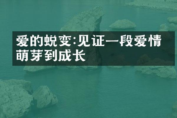 爱的蜕变:见证一段爱情从萌芽到成长