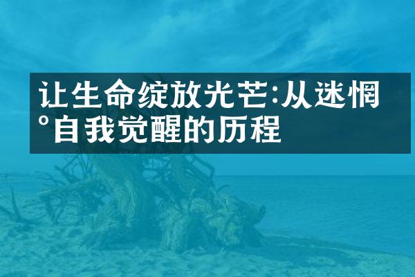 让生命绽放光芒:从迷惘到自我觉醒的