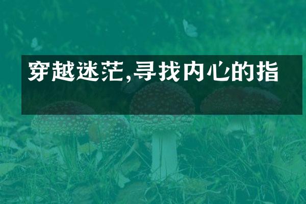 穿越迷茫,寻找内心的指引
