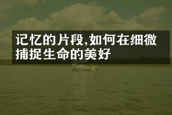 记忆的片段,如何在细微中捕捉生命的美好