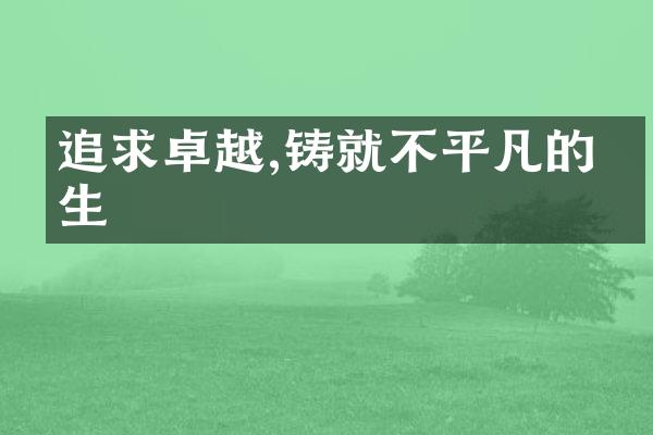 追求卓越,铸就不平凡的人生