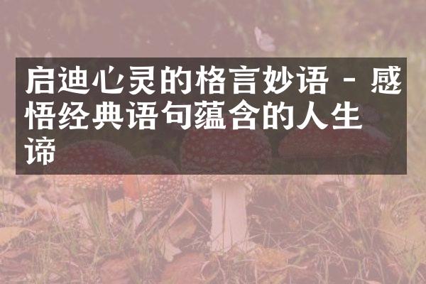 启迪心灵的格言妙语 - 感悟经典语句蕴含的人生真谛