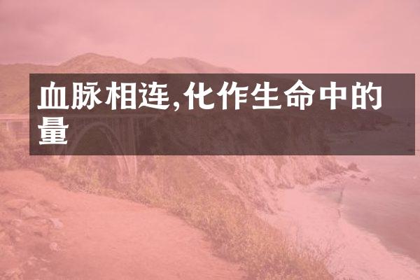 血脉相连,化作生命中的力量