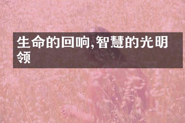 生命的回响,智慧的光明引领