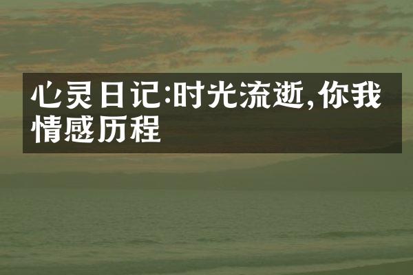 心灵日记:时光流逝,你我的情感
