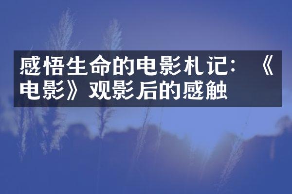 感悟生命的电影札记：《电影》观影后的感触