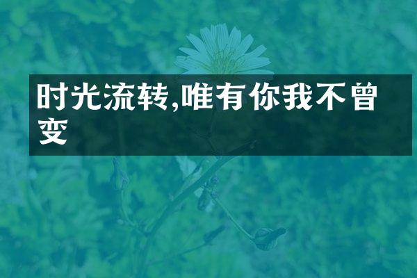 时光流转,唯有你我不曾改变