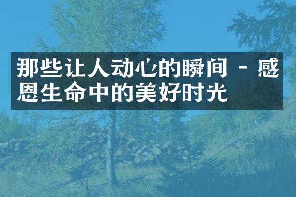 那些让人动心的瞬间 - 感恩生命中的美好时光