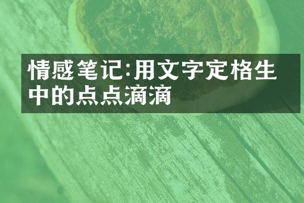 情感笔记:用文字定格生活中的点点滴滴