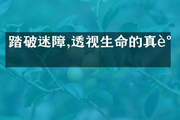 踏破迷障,透视生命的真谛