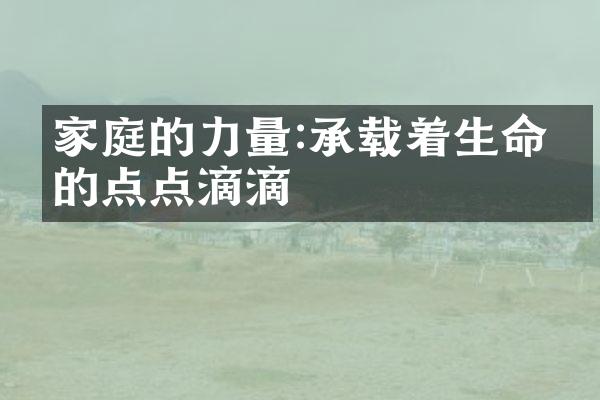 家庭的力量:承载着生命中的点点滴滴