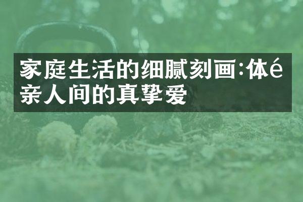 家庭生活的细腻刻画:体验亲人间的真挚爱