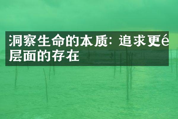 洞察生命的本质: 追求更高层面的存在