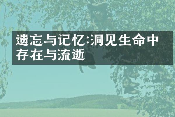 遗忘与记忆:洞见生命中的存在与流逝